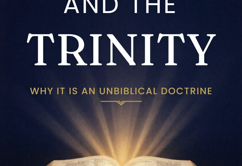 New Book Challenges Orthodox Beliefs: ‘God And The Trinity: Why It Is An Unbiblical Doctrine’ by Edward G. Palmer