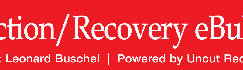 The Addiction/Recovery eBulletin Celebrates 13 Years of Continuous Publication and Its New Ownership